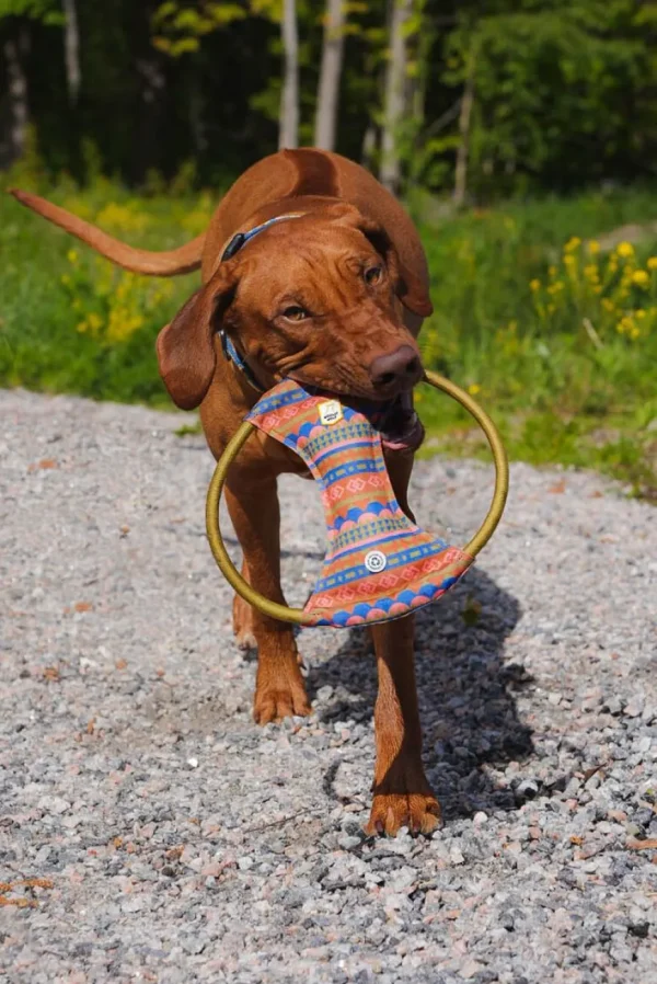 Nightless Night Squeaky Frisbee